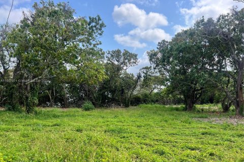 Купить земельный участок в Катлер-Бей, Флорида № 1093725 - фото 14