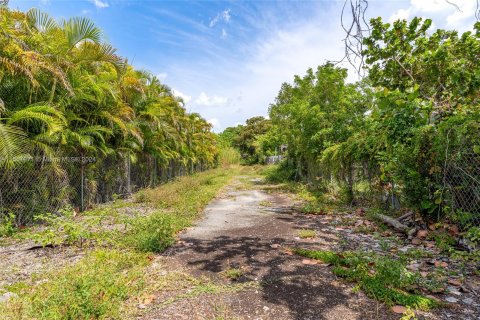 Купить земельный участок в Катлер-Бей, Флорида № 1093725 - фото 19