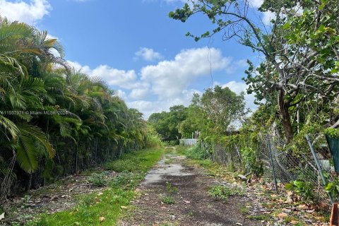 Купить земельный участок в Катлер-Бей, Флорида № 1093725 - фото 21