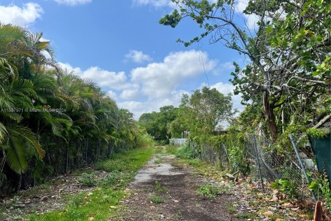 Купить земельный участок в Катлер-Бей, Флорида № 1093725 - фото 3
