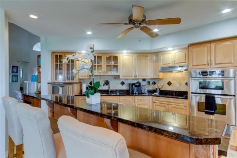 Casa en alquiler en Safety Harbor, Florida, 4 dormitorios, 343.74 m2 № 216177 - foto 15