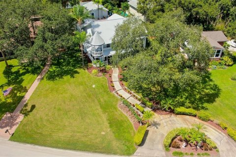 Villa ou maison à louer à Safety Harbor, Floride: 4 chambres, 343.74 m2 № 216177 - photo 5