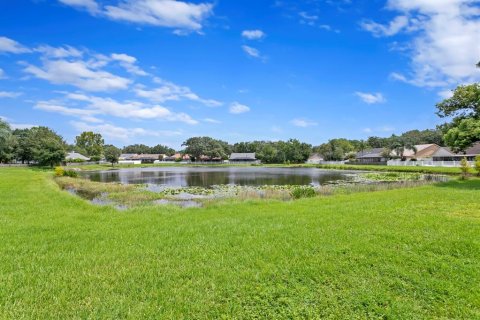 Villa ou maison à vendre à Tampa, Floride: 4 chambres, 218.04 m2 № 1344203 - photo 3