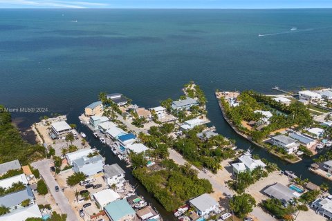 Land in Key Largo, Florida № 1145955 - photo 4