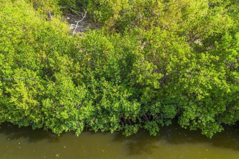 Land in Key Largo, Florida № 1145955 - photo 15