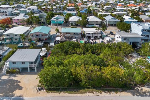 Land in Key Largo, Florida № 1145955 - photo 25