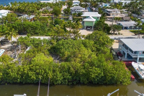 Land in Key Largo, Florida № 1145955 - photo 21