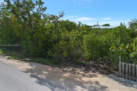 Land in Key Largo, Florida № 1145955 - photo 18