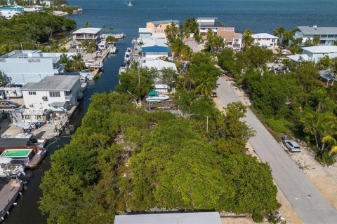 Land in Key Largo, Florida № 1145955 - photo 20