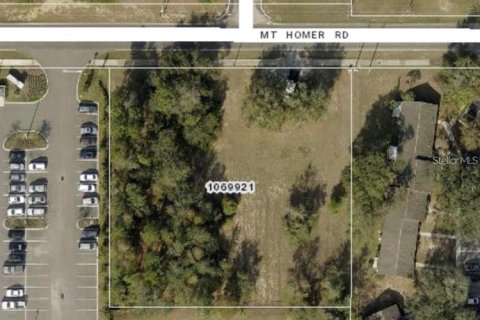 Terreno en venta en Eustis, Florida № 1308655 - foto 3