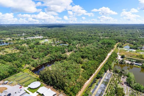 Land in Jupiter, Florida № 1141406 - photo 5