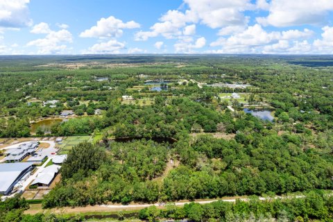 Land in Jupiter, Florida № 1141406 - photo 4