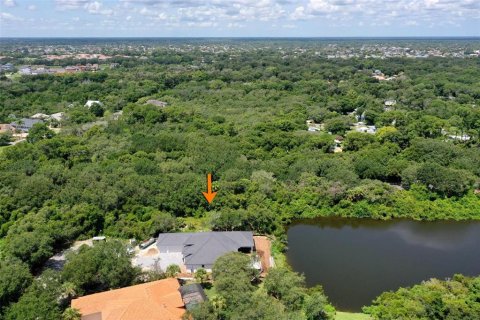 Terreno en venta en Palm Coast, Florida № 1304353 - foto 7