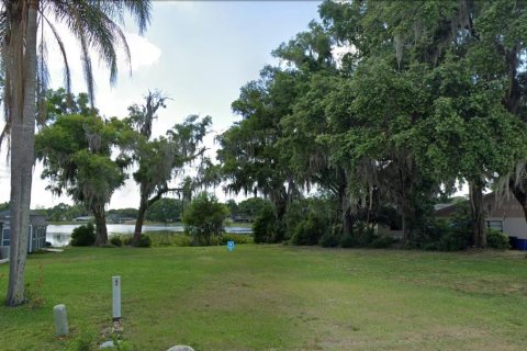 Terreno en venta en Land O' Lakes, Florida № 1334888 - foto 2