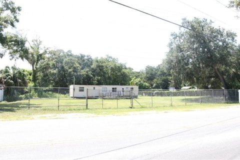 Land in Thonotosassa, Florida № 1319614 - photo 2