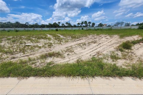 Купить земельный участок в Палм-Кост, Флорида № 667823 - фото 1