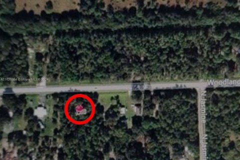 Commercial property in Clewiston, Florida № 1282611 - photo 2