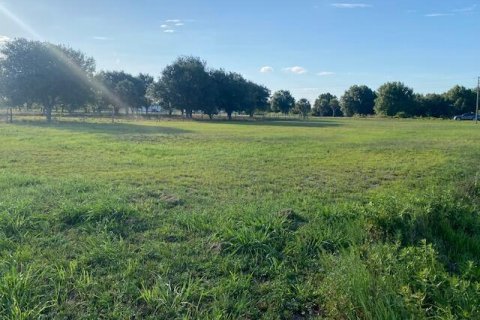 Terreno en venta en Okeechobee, Florida № 1209232 - foto 1