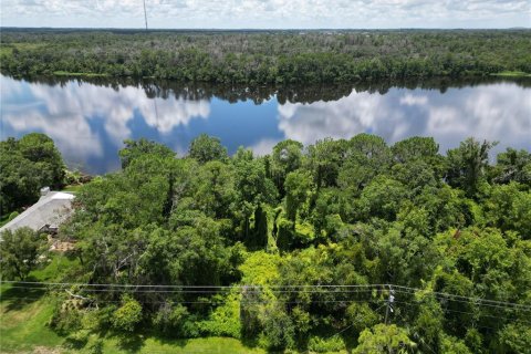 Land in Riverview, Florida № 1280186 - photo 2