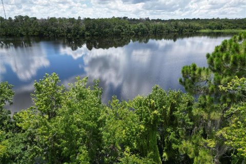 Terrain à vendre à Riverview, Floride № 1280186 - photo 8