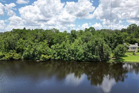 Land in Riverview, Florida № 1280186 - photo 10