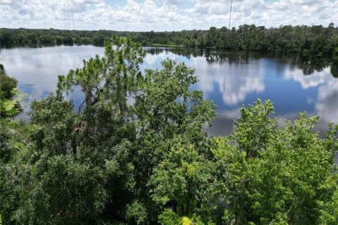 Terreno en venta en Riverview, Florida № 1280186 - foto 9