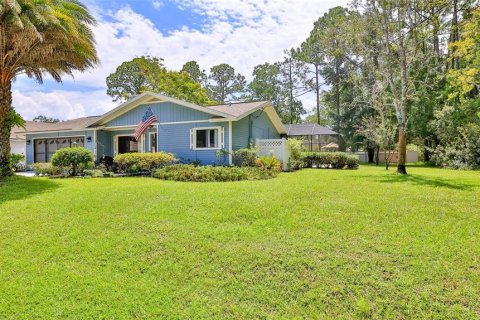 Villa ou maison à vendre à Palm Coast, Floride: 3 chambres, 131.18 m2 № 1344191 - photo 1