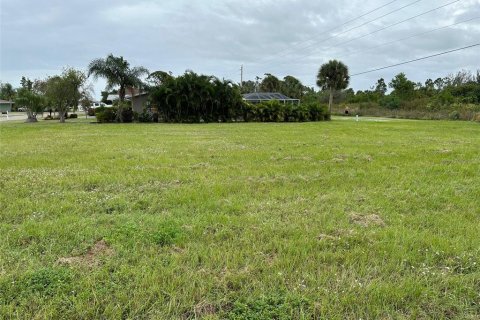 Land in Rotonda, Florida № 870666 - photo 3