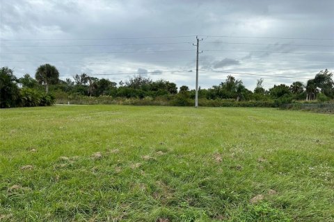 Terrain à vendre à Rotonda, Floride № 870666 - photo 7