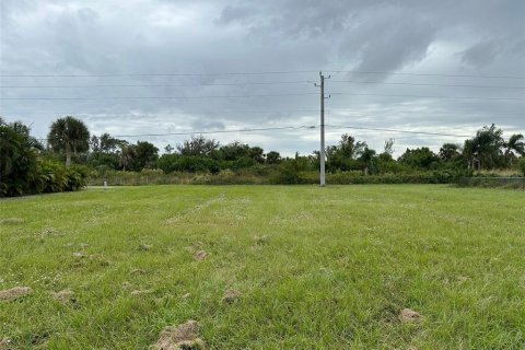 Terrain à vendre à Rotonda, Floride № 870666 - photo 2