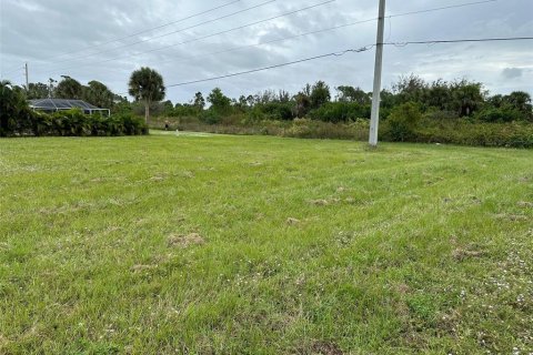 Land in Rotonda, Florida № 870666 - photo 4