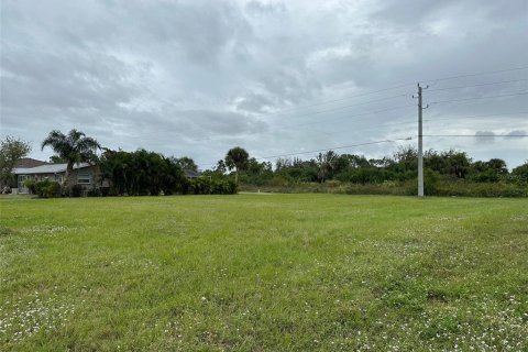 Terrain à vendre à Rotonda, Floride № 870666 - photo 6