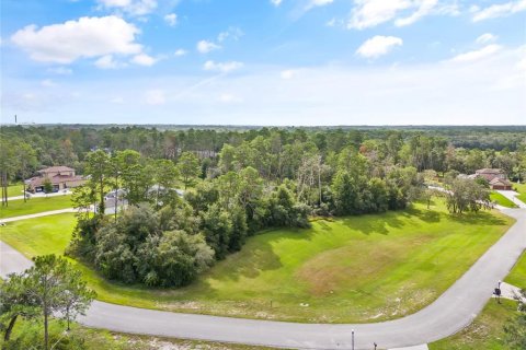 Terreno en venta en Hudson, Florida № 1352622 - foto 17