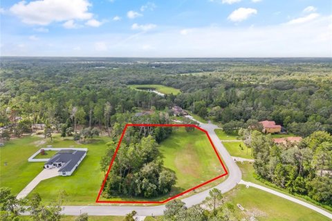 Terreno en venta en Hudson, Florida № 1352622 - foto 12