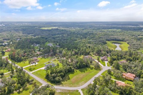 Terreno en venta en Hudson, Florida № 1352622 - foto 3