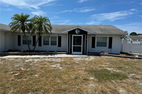 Villa ou maison à vendre à Bradenton, Floride: 3 chambres, 205.04 m2 № 1324808 - photo 1