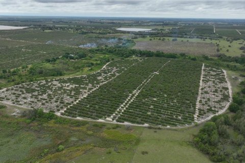 Terreno en venta en Fort Meade, Florida № 1376167 - foto 3