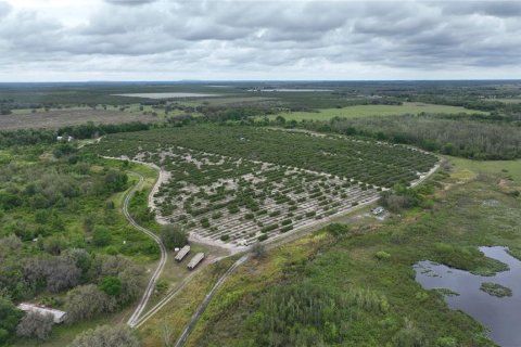 Terreno en venta en Fort Meade, Florida № 1376167 - foto 1