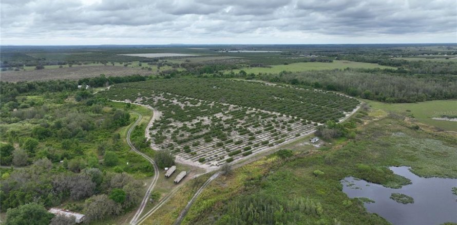 Terrain à Fort Meade, Floride № 1376167