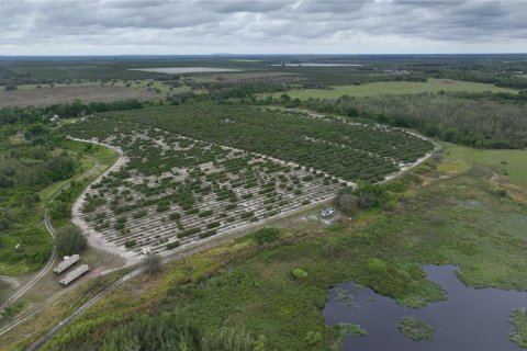 Terreno en venta en Fort Meade, Florida № 1376167 - foto 2