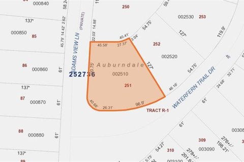 Terreno en venta en Auburndale, Florida № 1376164 - foto 2