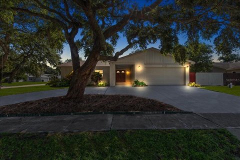 Villa ou maison à vendre à Dunedin, Floride: 3 chambres, 159.42 m2 № 1344585 - photo 3