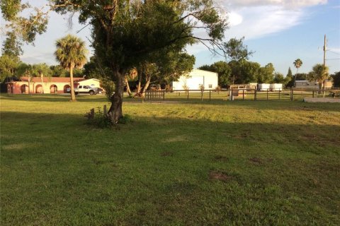 Terrain à vendre à Punta Gorda, Floride № 960720 - photo 15