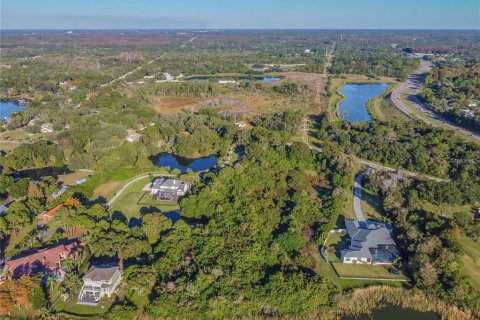 Land in Tarpon Springs, Florida № 1337877 - photo 4