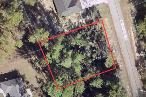 Terreno en venta en Ocala, Florida № 1382283 - foto 1