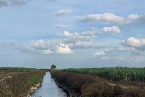 Land in South Bay, Florida № 40063 - photo 2