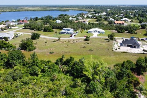 Land in Punta Gorda, Florida № 1206479 - photo 11