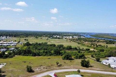 Terrain à vendre à Punta Gorda, Floride № 1206479 - photo 5