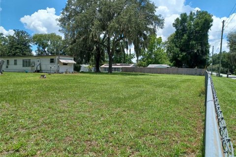 Terrain à vendre à Zephyrhills, Floride № 1261488 - photo 4