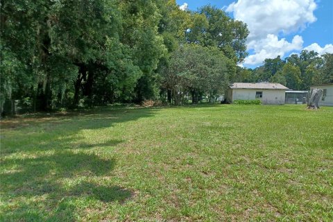 Land in Zephyrhills, Florida № 1261488 - photo 2